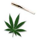 marijuana-joint.jpg